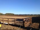 Horse Paddock